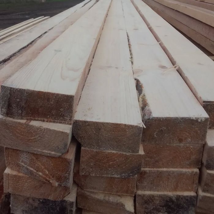 Осина, Берёза, Сосна