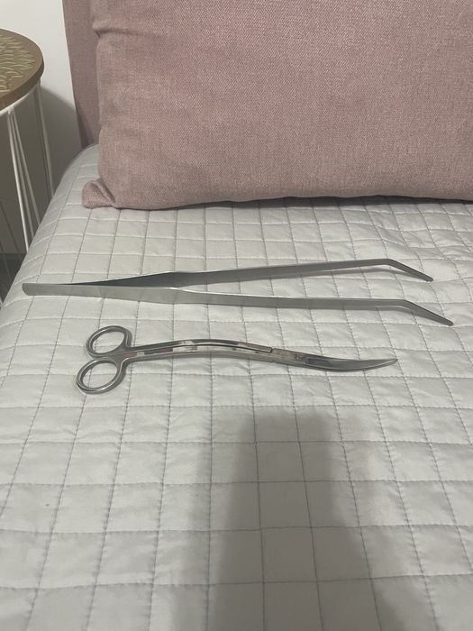 Ustensile pesti acvariu plante