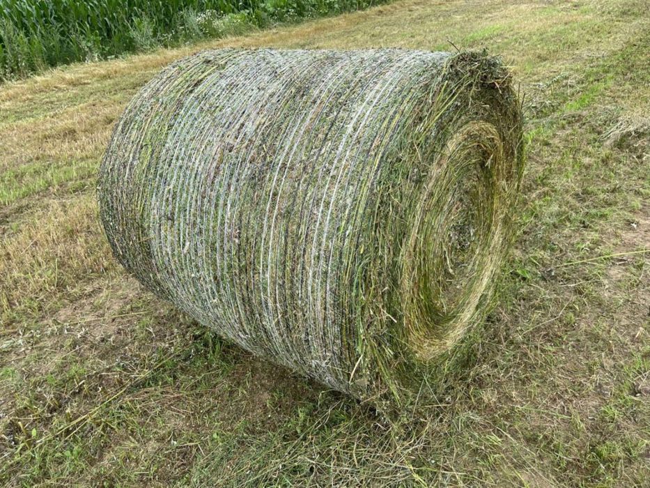 Baloti lucerna, fan si paie