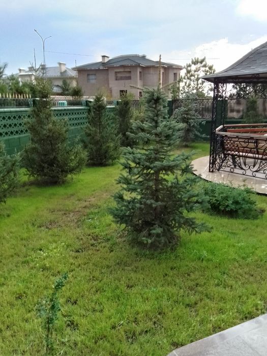 ГАЗОН посев озеленения!
