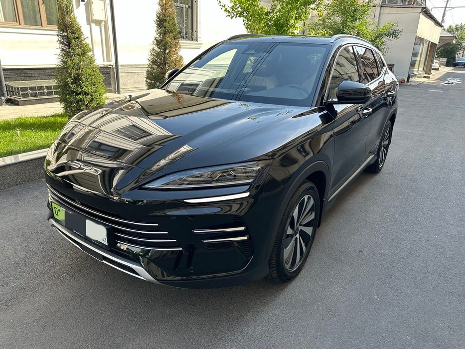 Champion d-mi hybrid Ofitsalniy