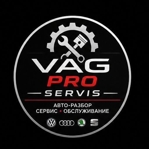 Vag Service Pro .