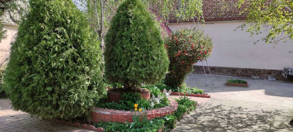 Участок 8 соток в центре.