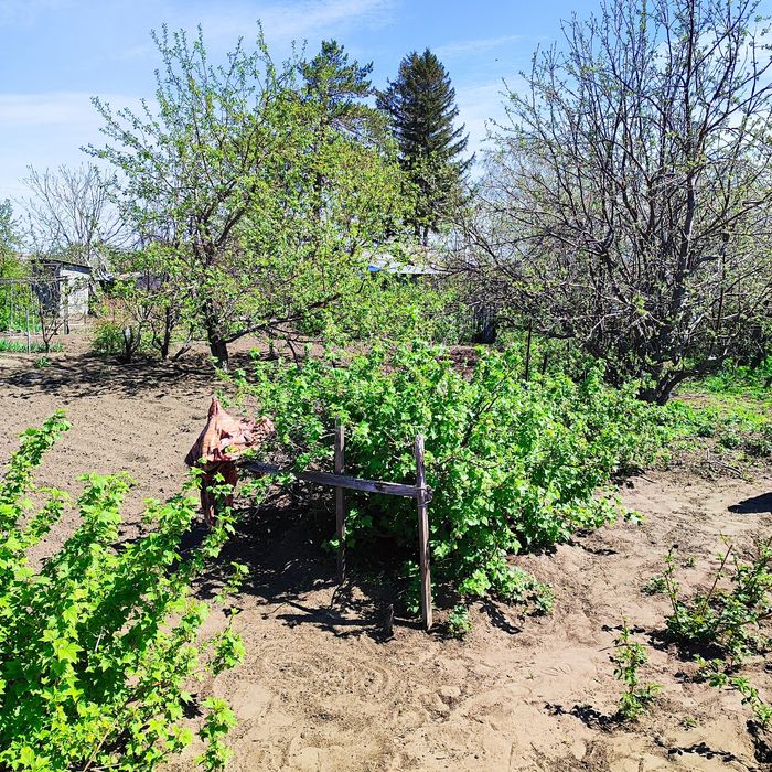 Продам дачу сад металлург