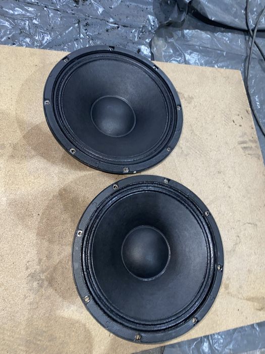 difuzoare 12" P/Audio -SN12MB