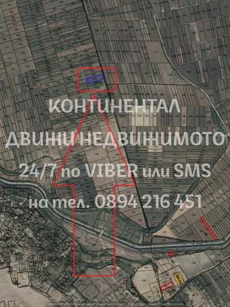 Лозе 2800м2  с още 2 съседни възможно евр. финансиране - код 62564