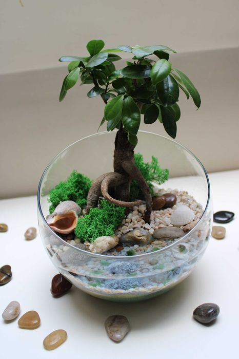 Флорариум с езеро - подарък за деня на влюбените, 8ми март, рожден ден