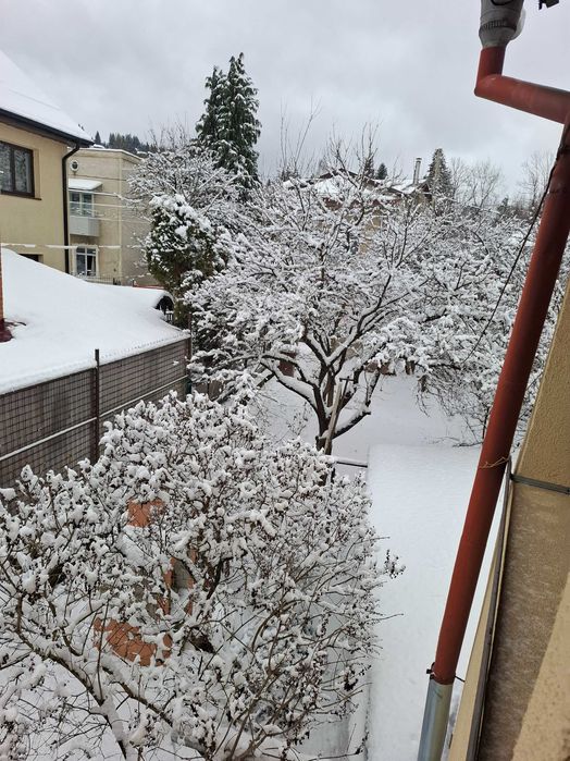 Casa de vanzare  in  Vatra Dornei Bucovina Parc Partia Veverita