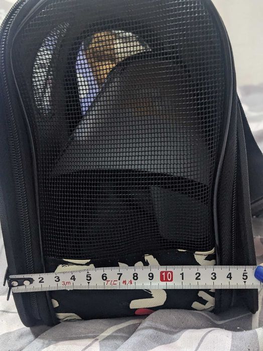 Переноска для кошек