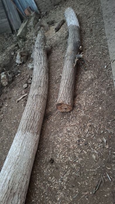 Продам два орех(столб)