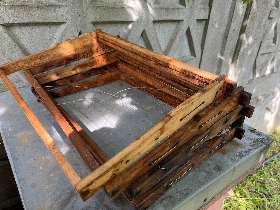 Rame albine 1/1 Dadant - jud. Arad