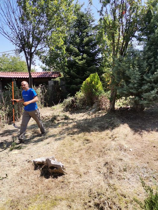 Косене. Рязане на храсти и опасни дървета. Разчистване на терени.