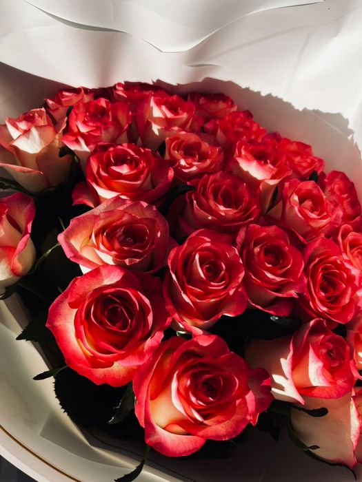 продам цветы,25роза!10к