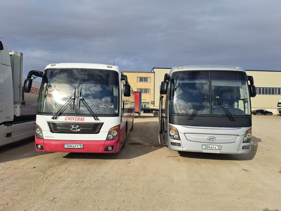 Сдам в аренду автобусы