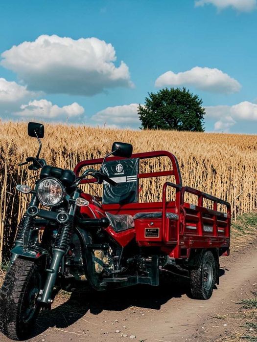 Грузовой Муравей Самосвал Трицикл