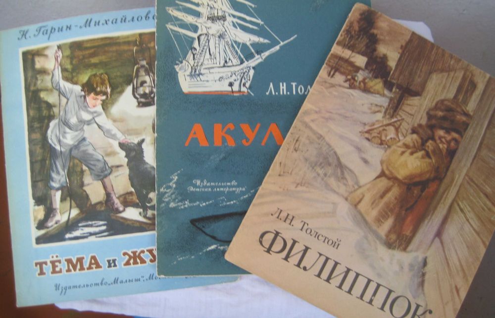 книги по школьной программе