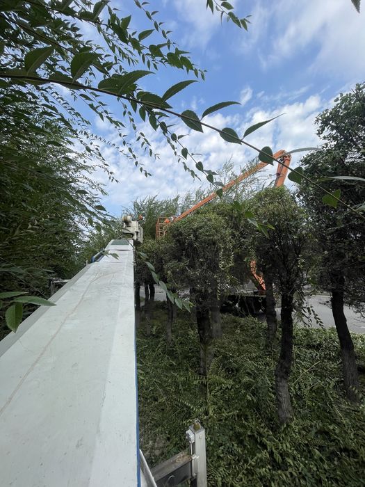 17метр Автовышка