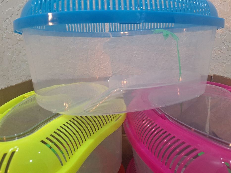 Аквариум -терариум продаеться