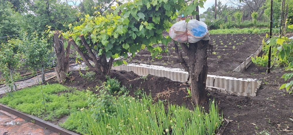 Продам Дачу отличное