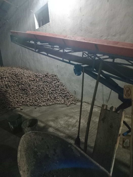 Bandă Transpor cereale cartofi