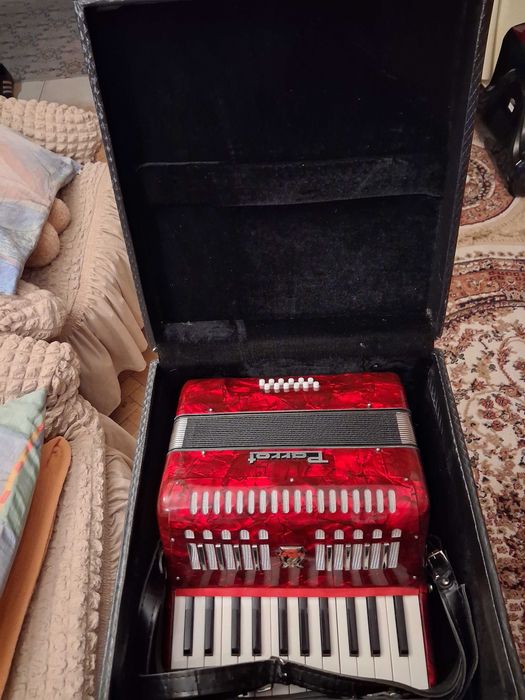Acordeon pentru copii Parrot