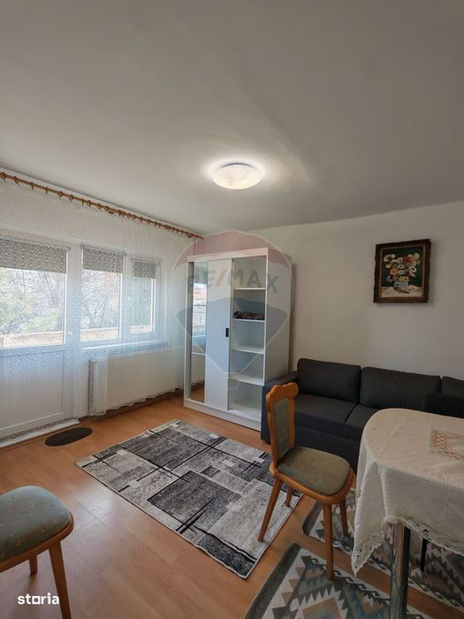 Garsonieră spațioasă cu balcon mare, Brazda, etaj 1