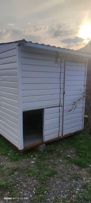 Бутка,мороженое бутка