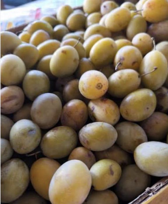 De prune  albe grase bio -52