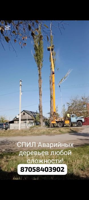 СПИЛ аварийных деревьев