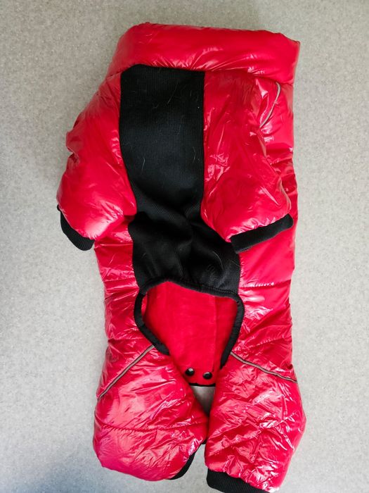 Продам комбез для собакена