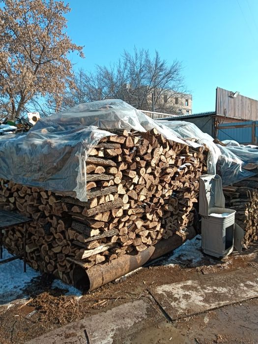 Дрова рубленные карагач урюк