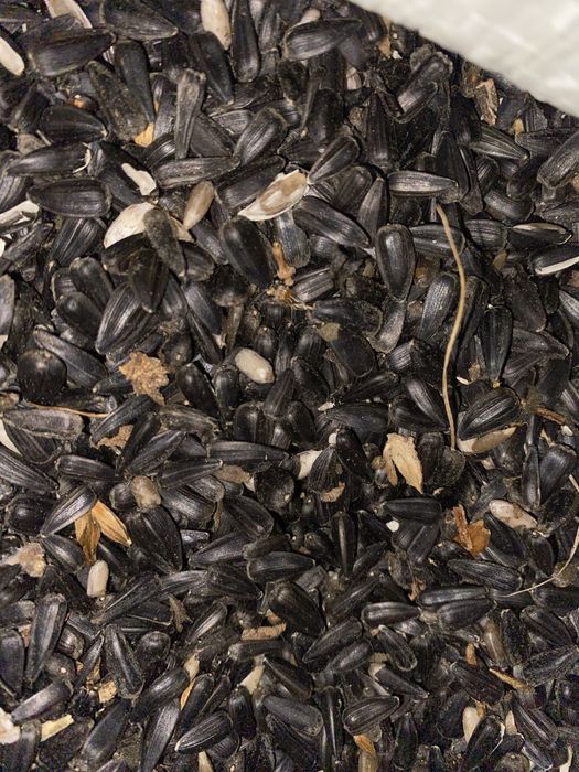 Продам ячмень мешках