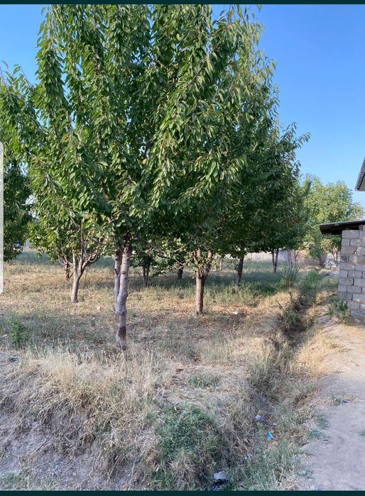 Янгийулда 5 сотих сотилади