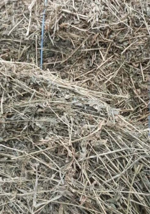 Baloti mici de fan Lucerna 20-25kg/balot