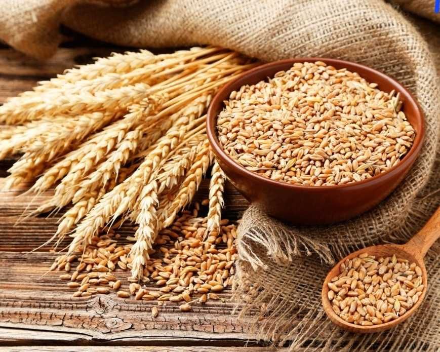 Grau de vanzare 1 leu kg Racarii de Sus  an 2025