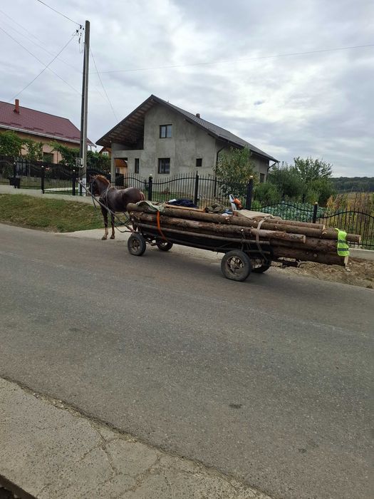 Harmasar de vanzare
