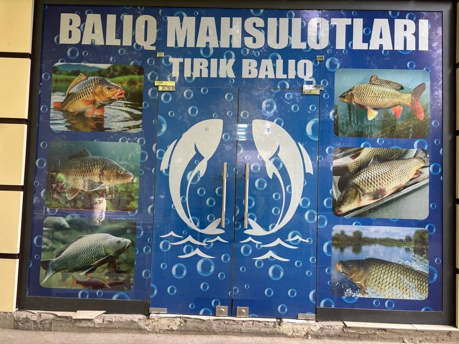Tayyor biznes qulay lakatsa,baliq cofesi