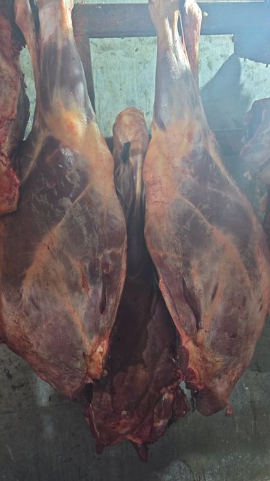 Фарш говядина чистый