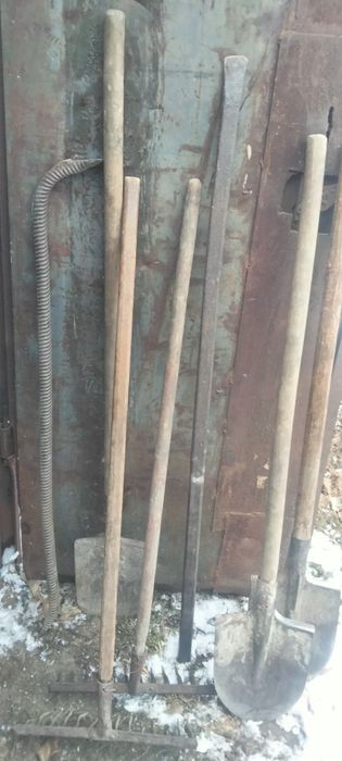 Продам срочно лапаты крепкие