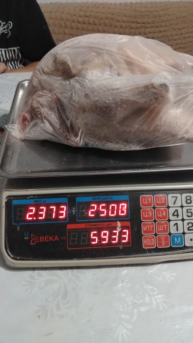 Продам кур домашние