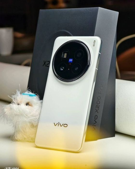 Vivo x200 pro(256гб)