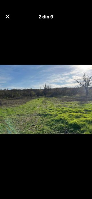 Teren intravilan/9 loturi de casa