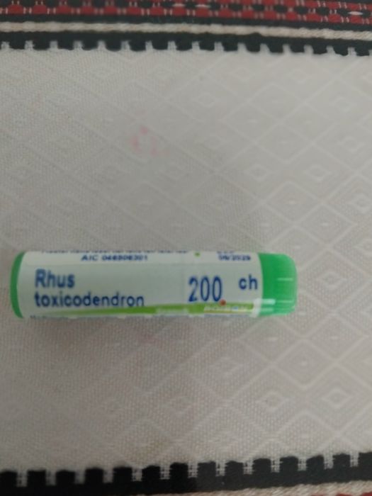 RHUS Toxicodendrom 200 CH