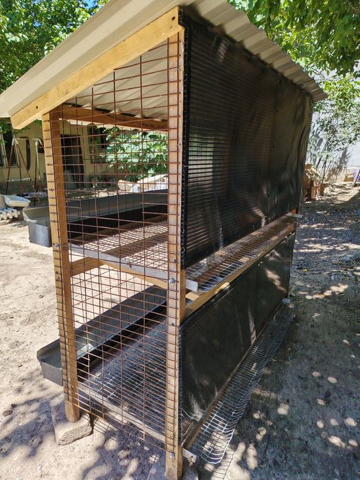 To'vuqga katak (in) sotiladi