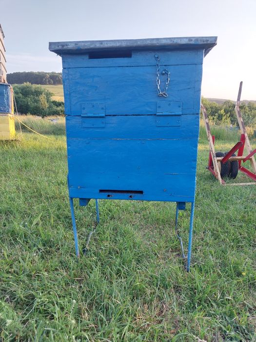 Stupi, rame, lazi, saltelute, colectoare polen