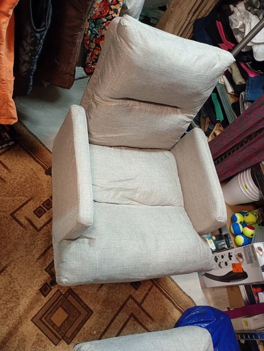 Fotoliu recliner cu pui nou