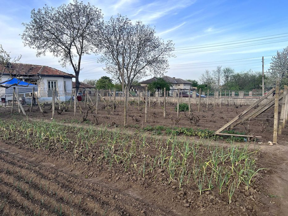 Продава се Парцел в с. Люляково, Област Добрич - 1200 кв.м за 3 €/кв.м - Снимка #4