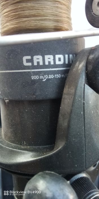 Undițe , mulineta
