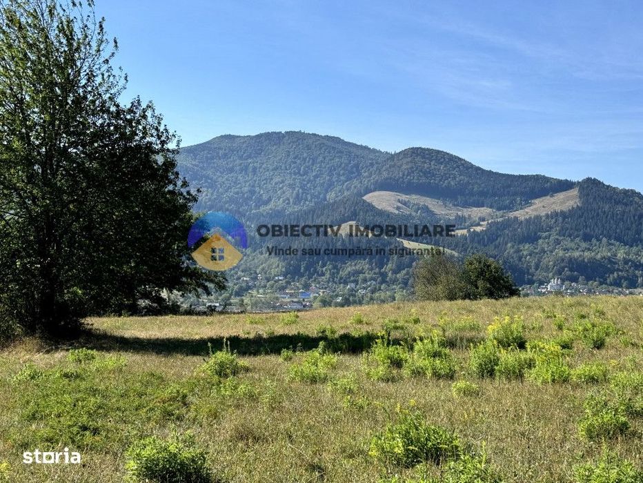 Teren intravilan 2.217 mp cu panorama superba |  Alexandru cel Bun –