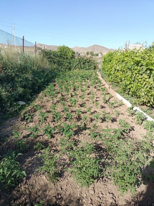 Дача в аренду